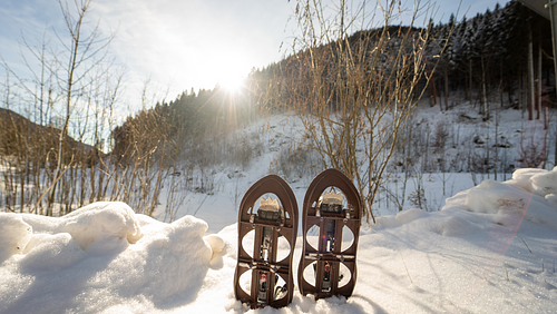 Cover Image for Snowshoeing Kamloops - Revelstoke 