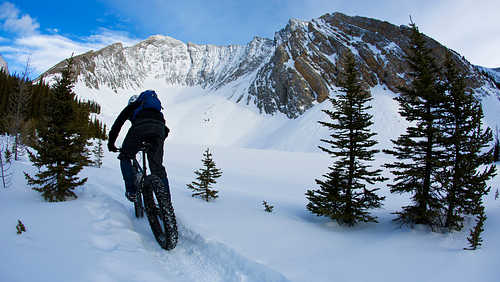 Cover Image for Fat Biking 