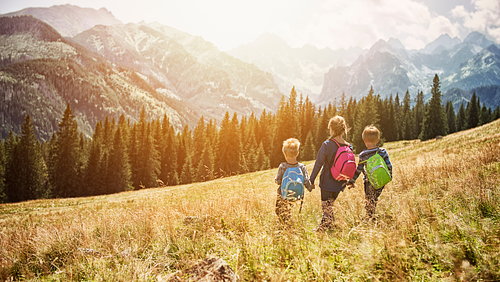 Cover Image for Kid Friendly Hikes in the Shuswap 